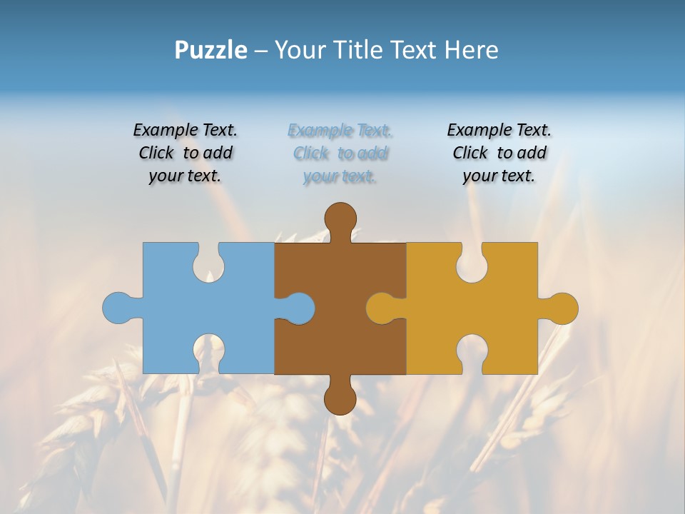 Wheat Closeup PowerPoint Template