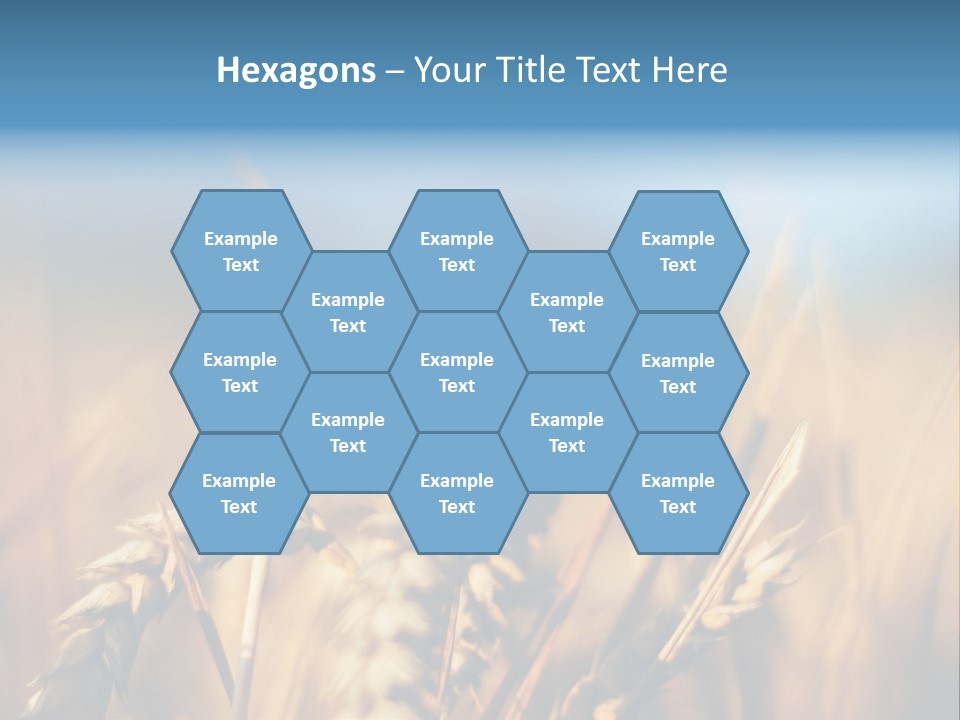 Wheat Closeup PowerPoint Template