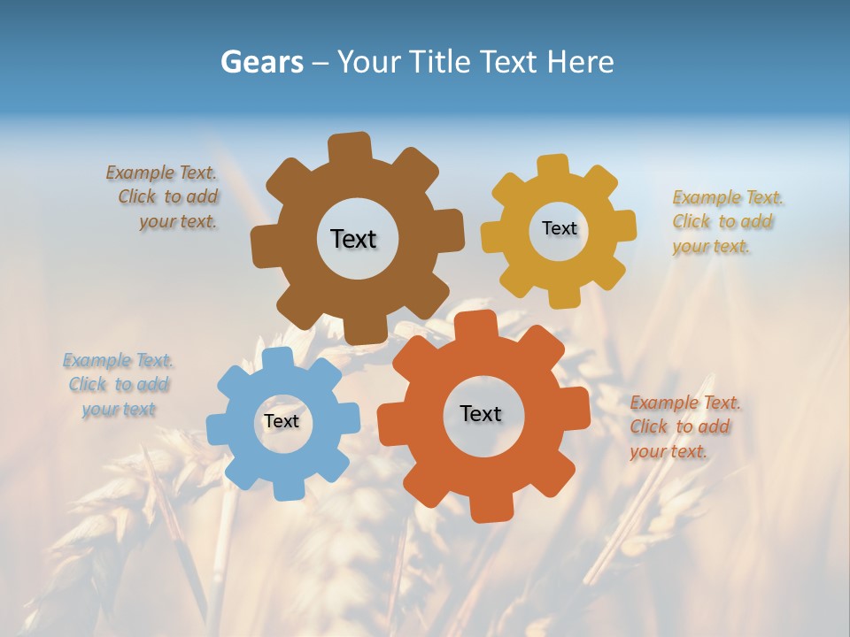 Wheat Closeup PowerPoint Template