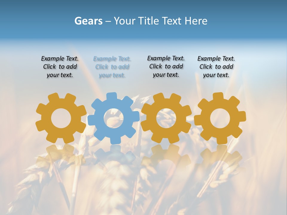 Wheat Closeup PowerPoint Template