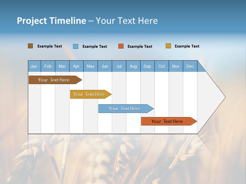 Wheat Closeup PowerPoint Template