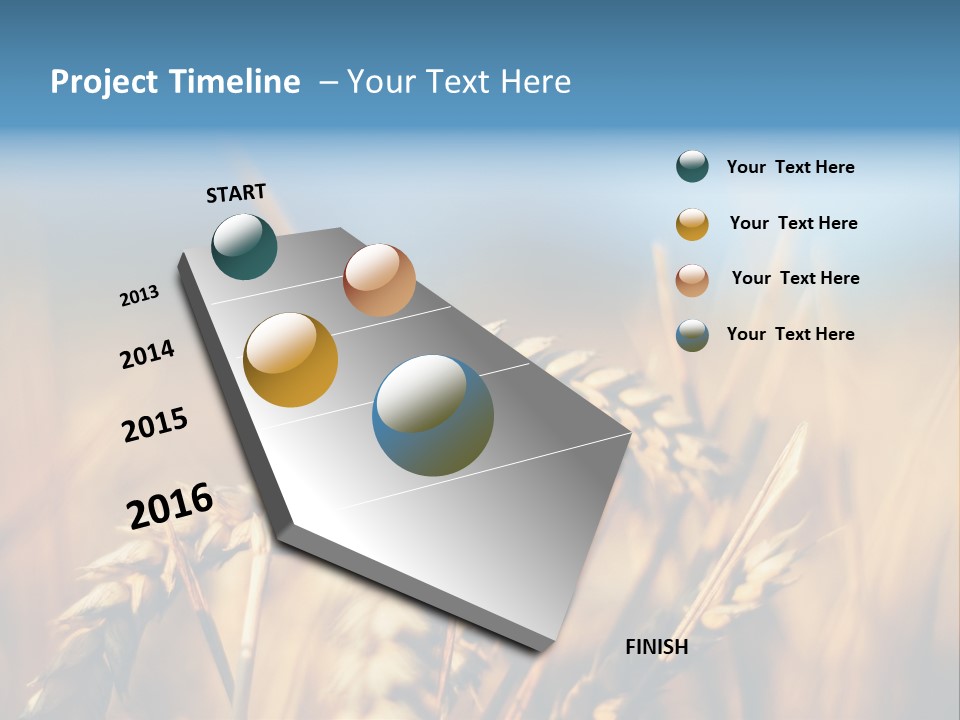Wheat Closeup PowerPoint Template