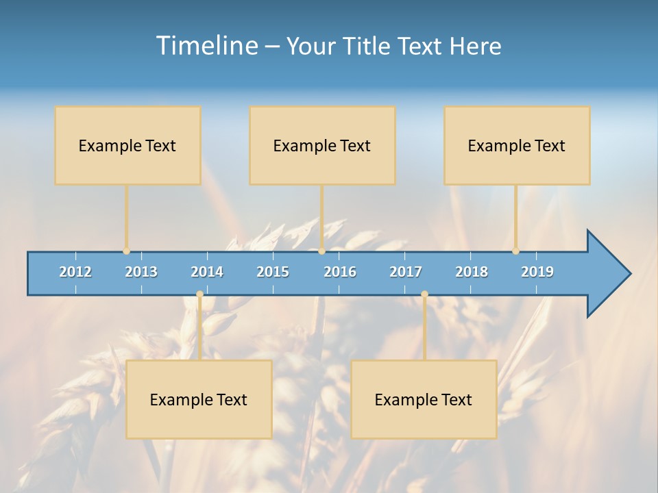 Wheat Closeup PowerPoint Template