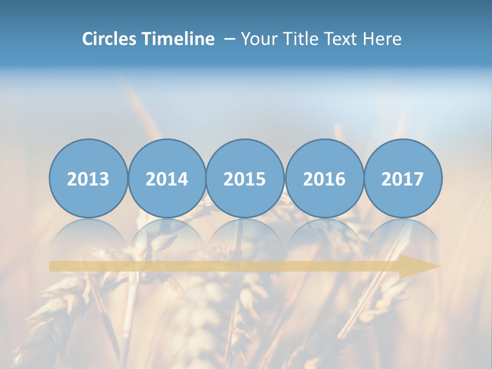 Wheat Closeup PowerPoint Template