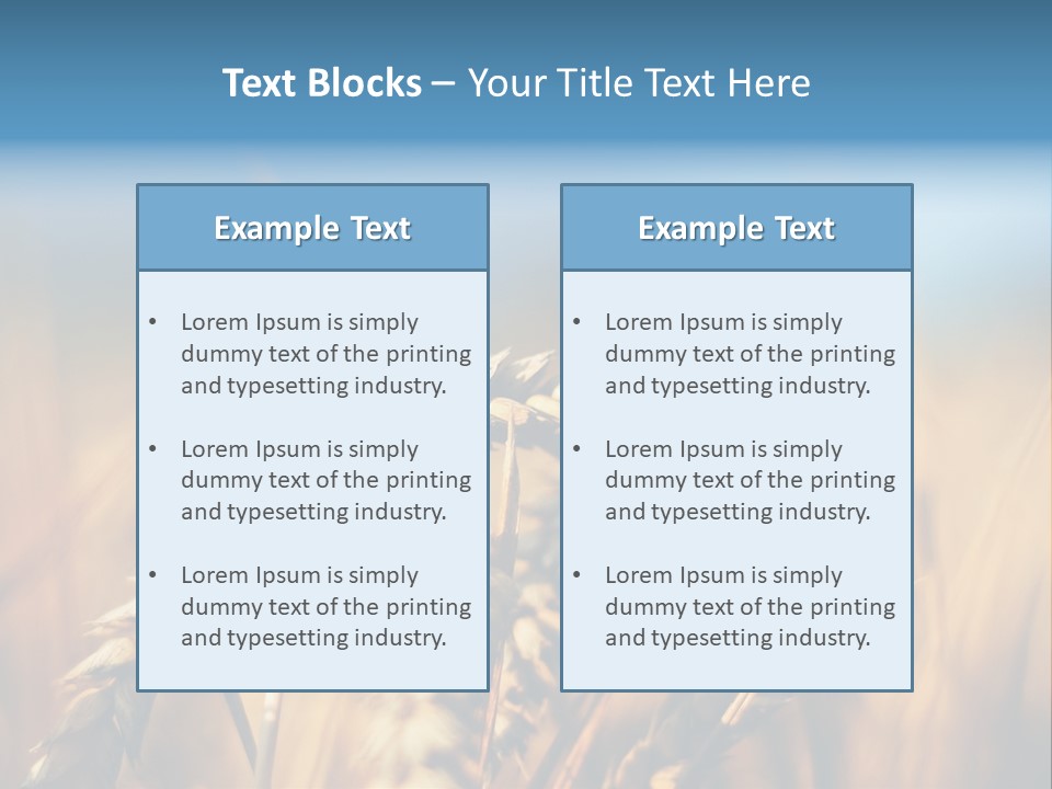 Wheat Closeup PowerPoint Template
