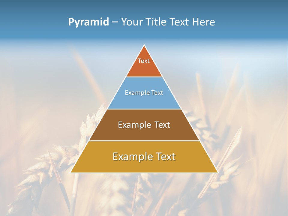 Wheat Closeup PowerPoint Template