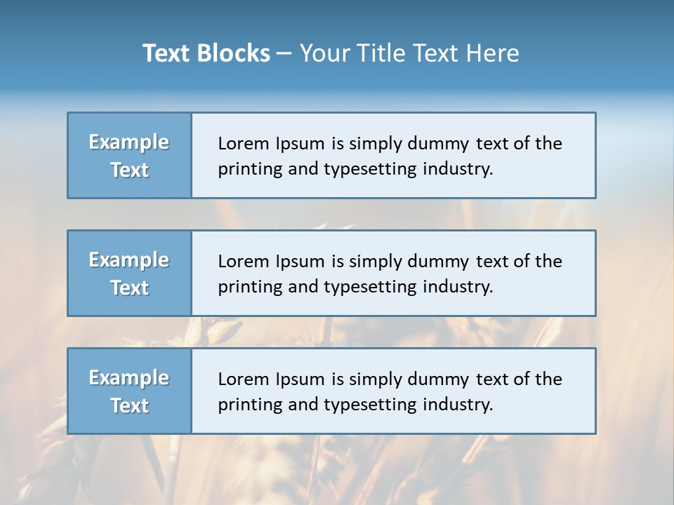 Wheat Closeup PowerPoint Template