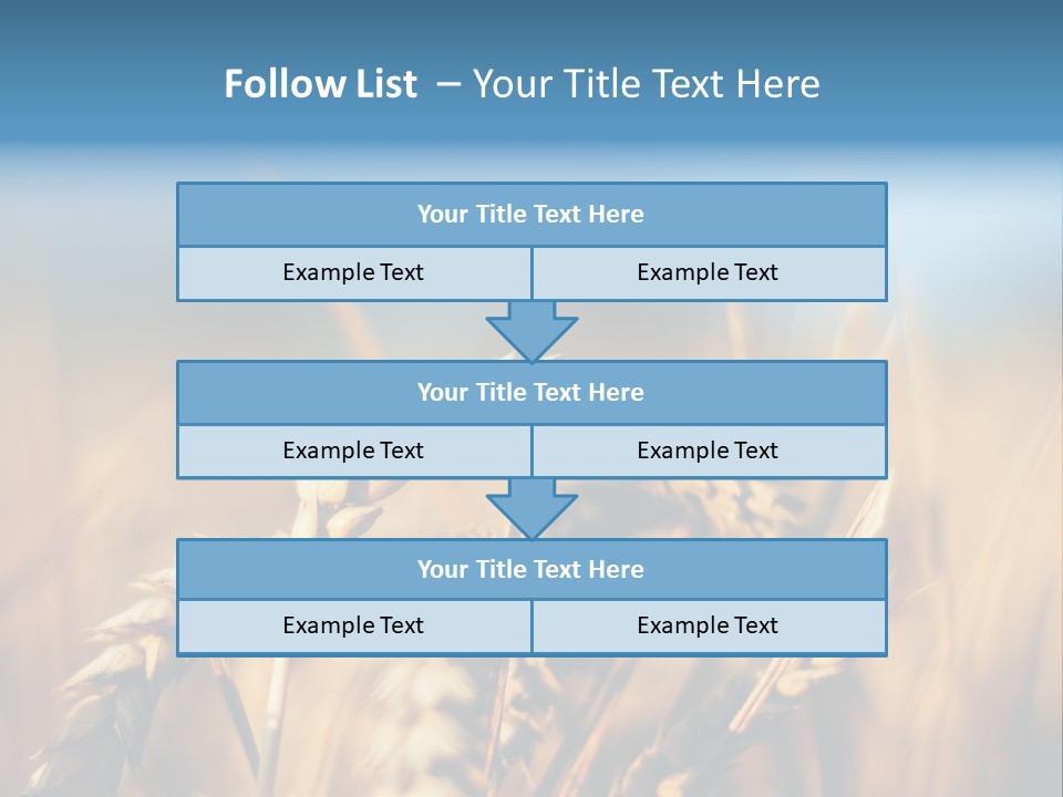 Wheat Closeup PowerPoint Template