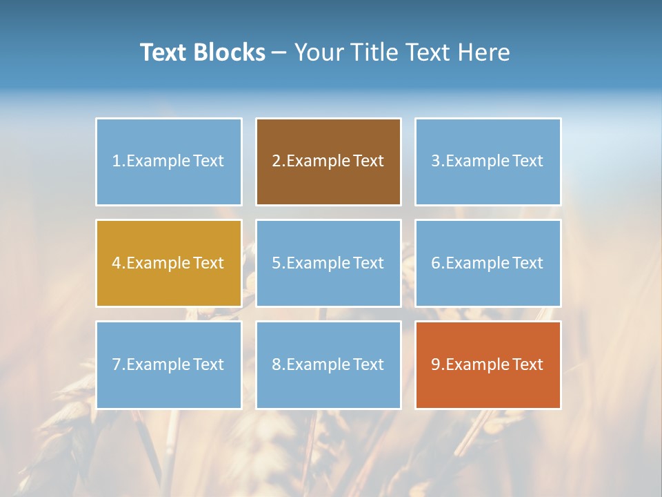 Wheat Closeup PowerPoint Template