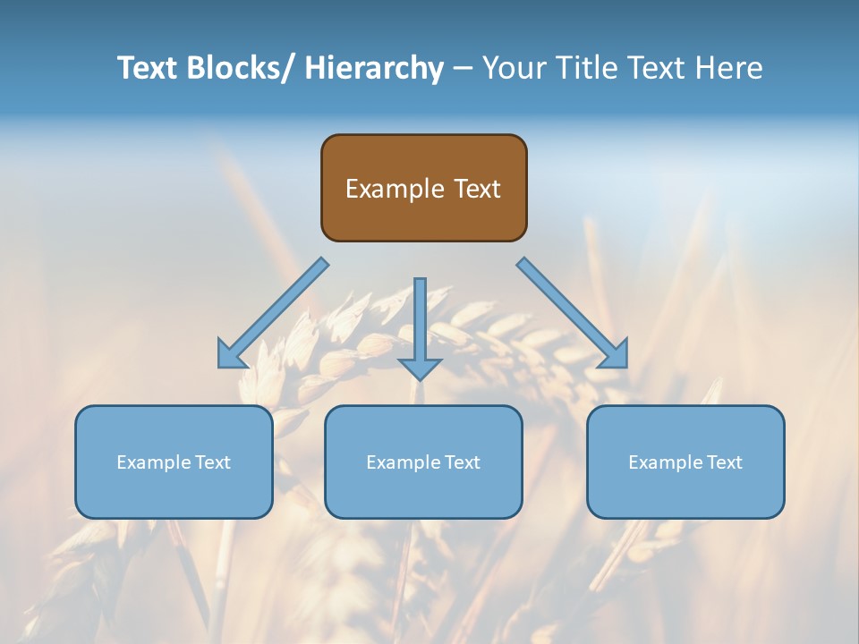 Wheat Closeup PowerPoint Template