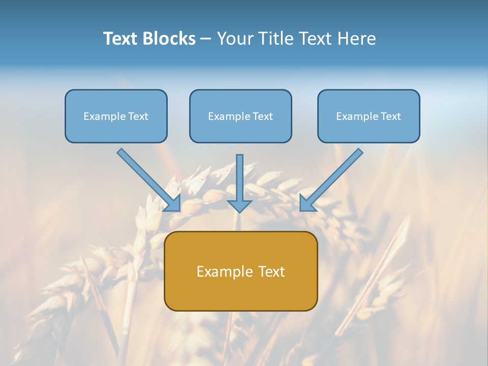 Wheat Closeup PowerPoint Template