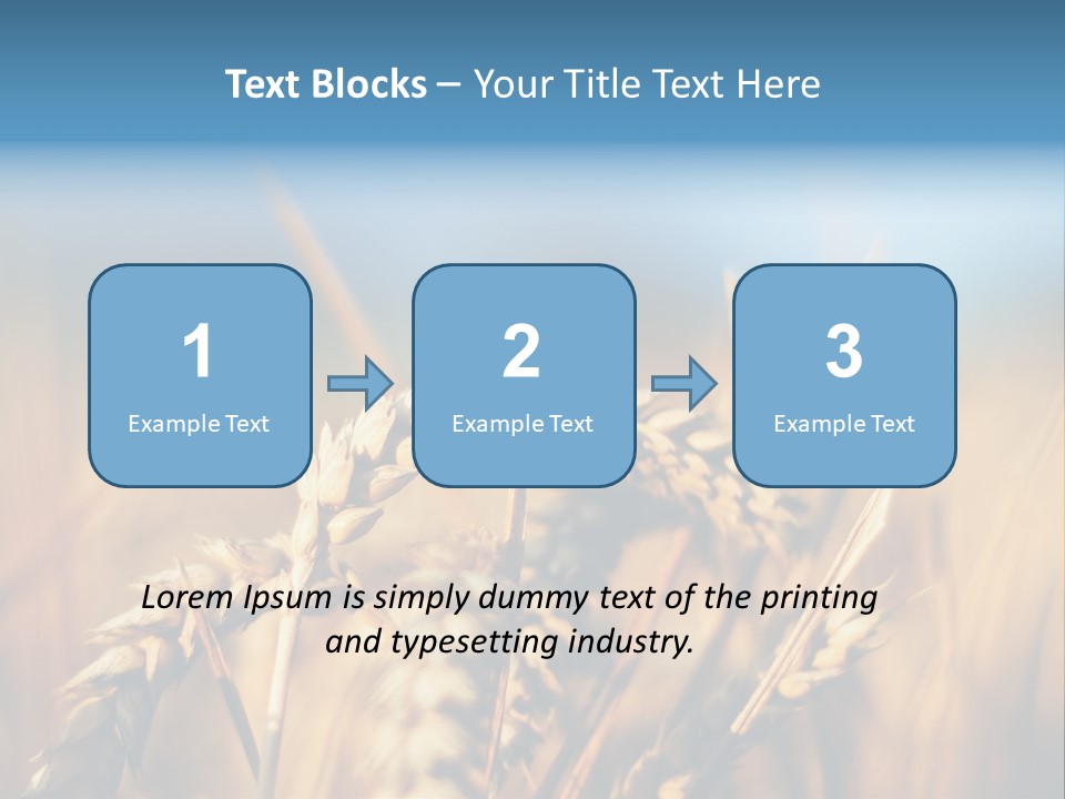 Wheat Closeup PowerPoint Template