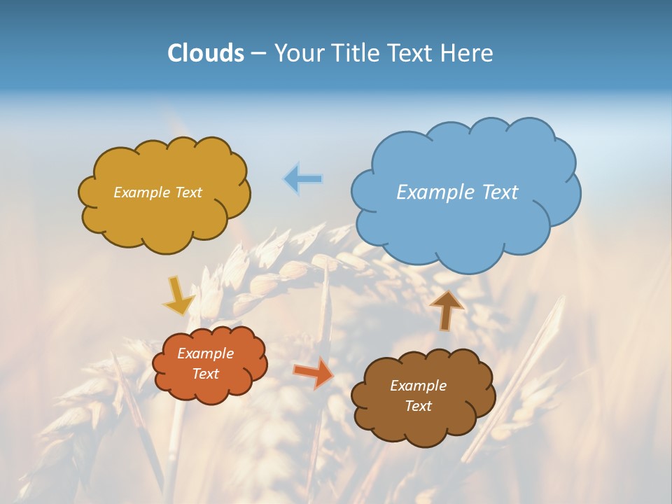 Wheat Closeup PowerPoint Template