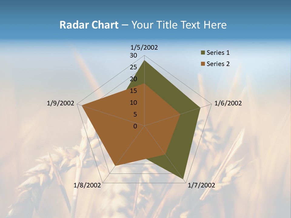 Wheat Closeup PowerPoint Template