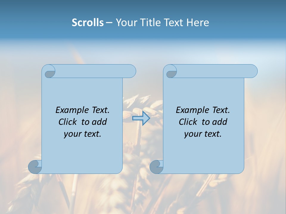 Wheat Closeup PowerPoint Template