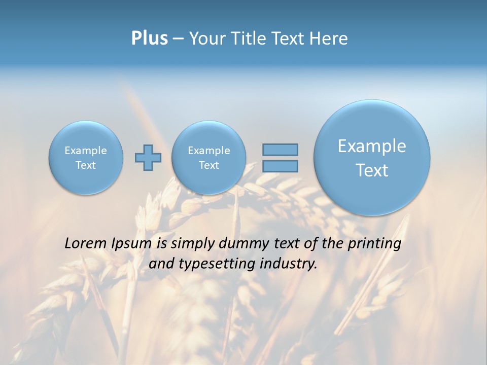 Wheat Closeup PowerPoint Template