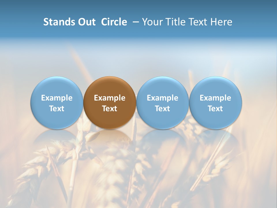 Wheat Closeup PowerPoint Template
