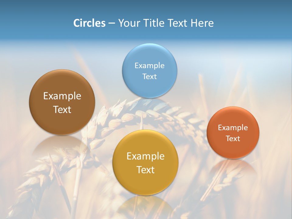 Wheat Closeup PowerPoint Template
