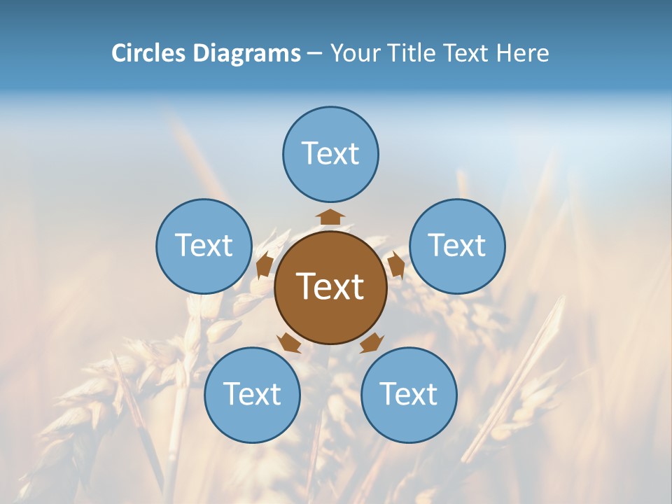 Wheat Closeup PowerPoint Template