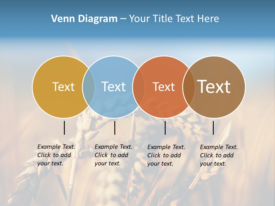 Wheat Closeup PowerPoint Template