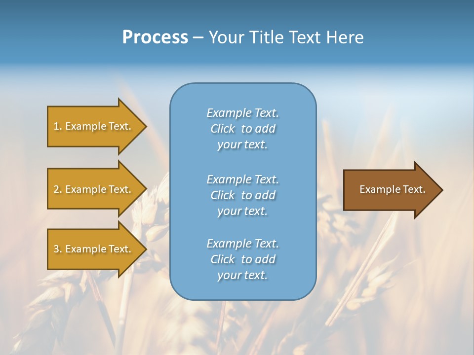 Wheat Closeup PowerPoint Template