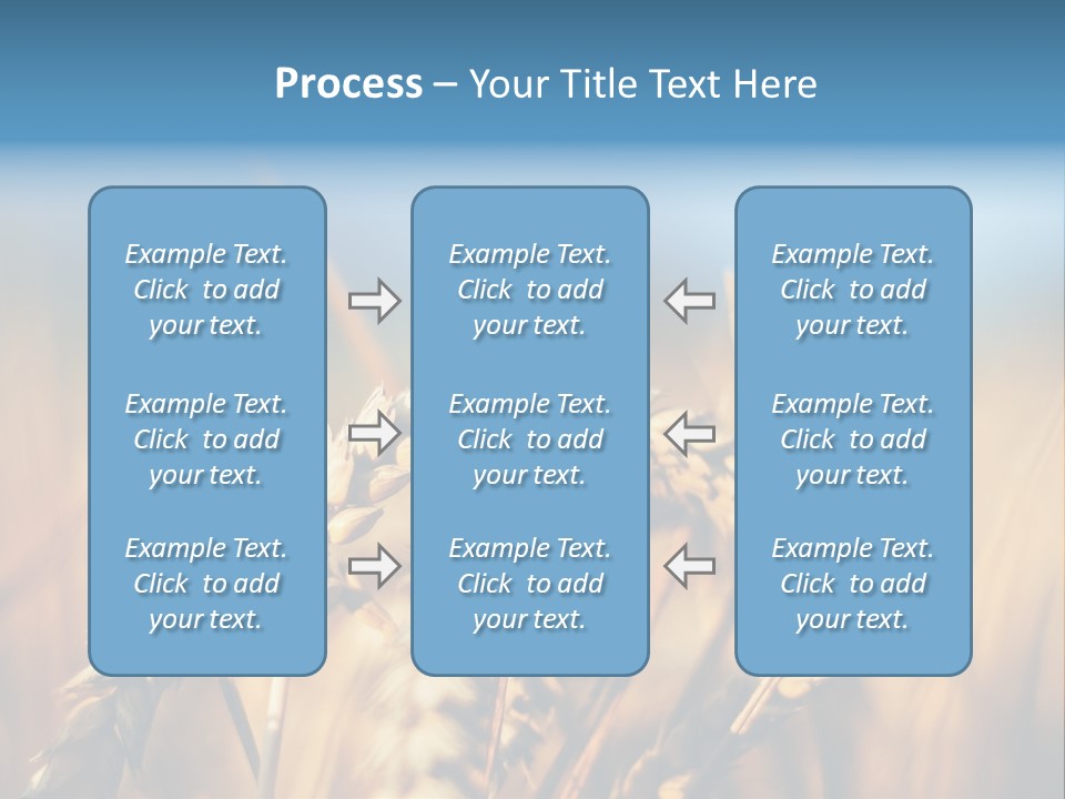 Wheat Closeup PowerPoint Template