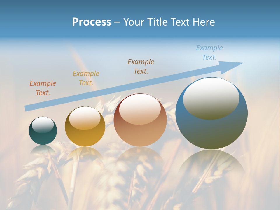 Wheat Closeup PowerPoint Template