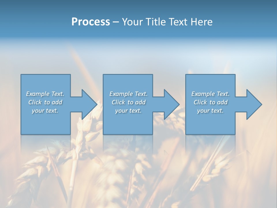 Wheat Closeup PowerPoint Template