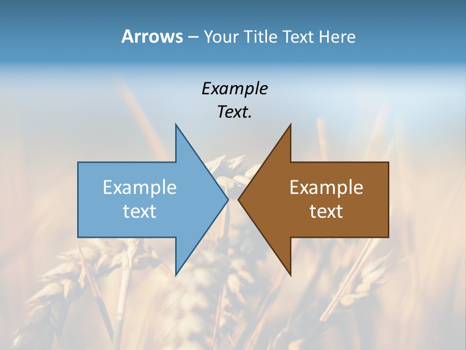 Wheat Closeup PowerPoint Template