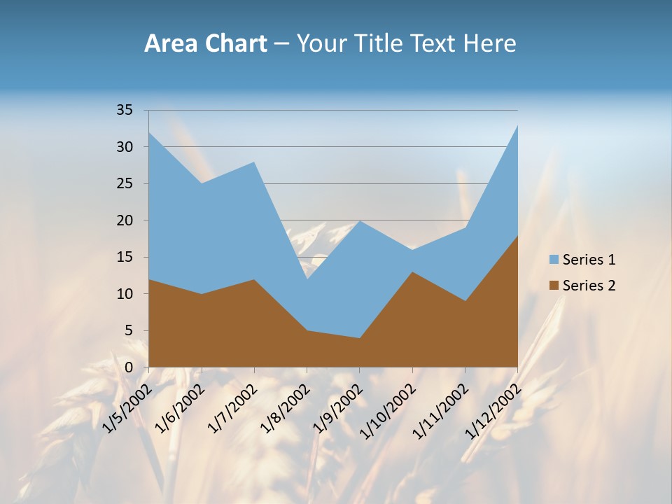 Wheat Closeup PowerPoint Template