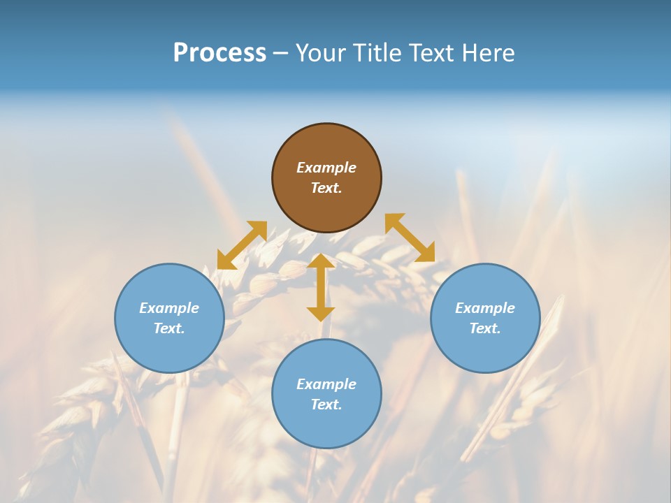 Wheat Closeup PowerPoint Template