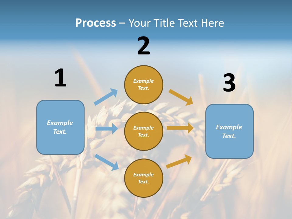 Wheat Closeup PowerPoint Template