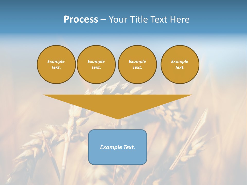 Wheat Closeup PowerPoint Template