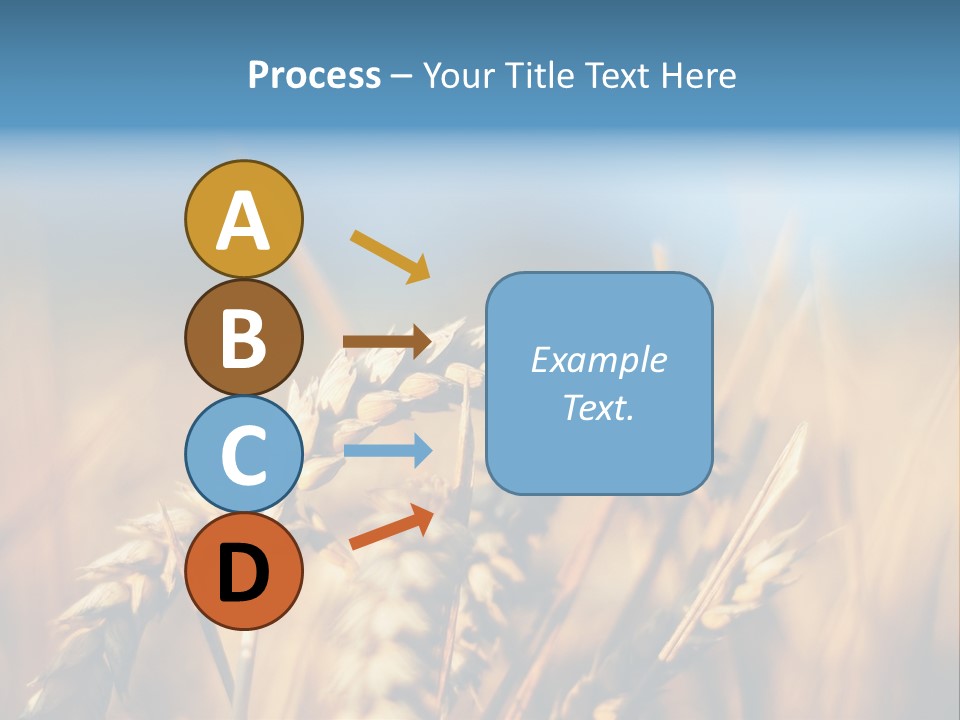 Wheat Closeup PowerPoint Template