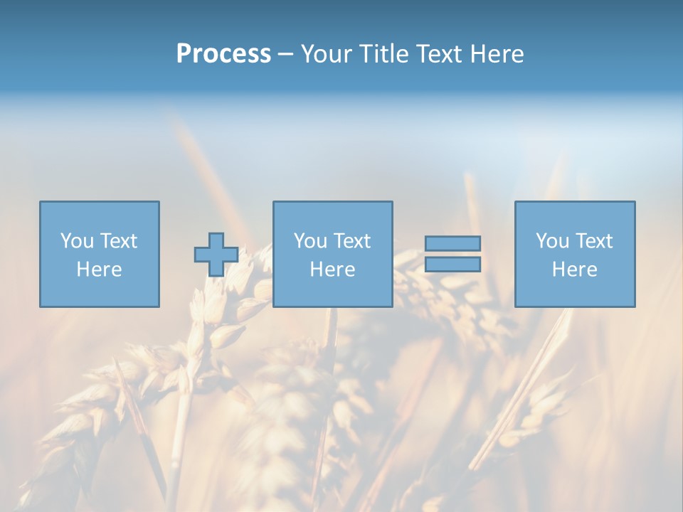 Wheat Closeup PowerPoint Template