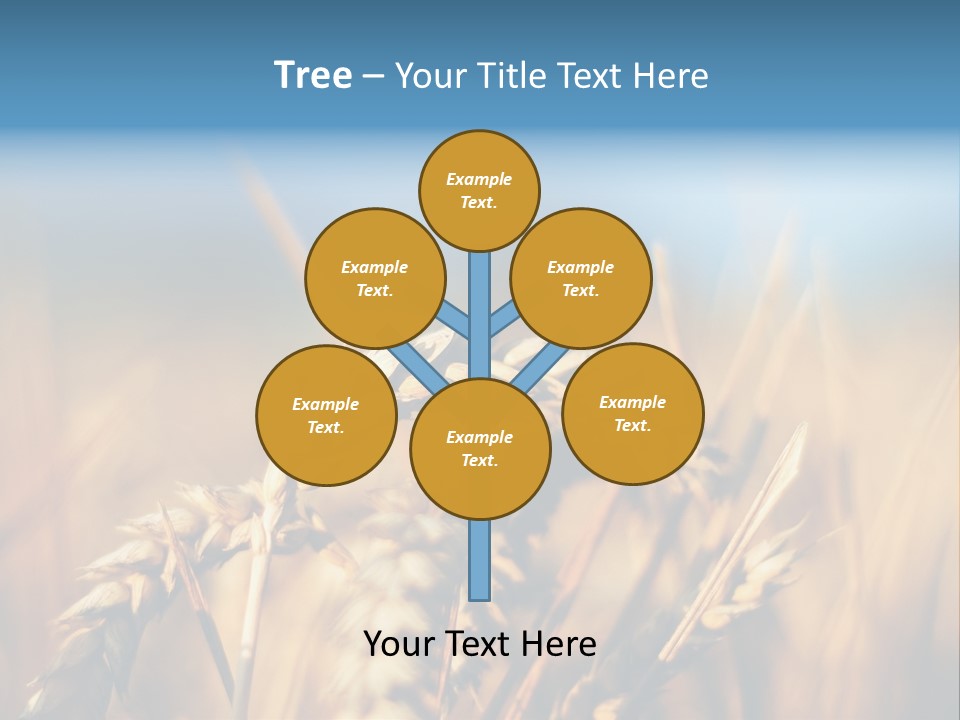 Wheat Closeup PowerPoint Template