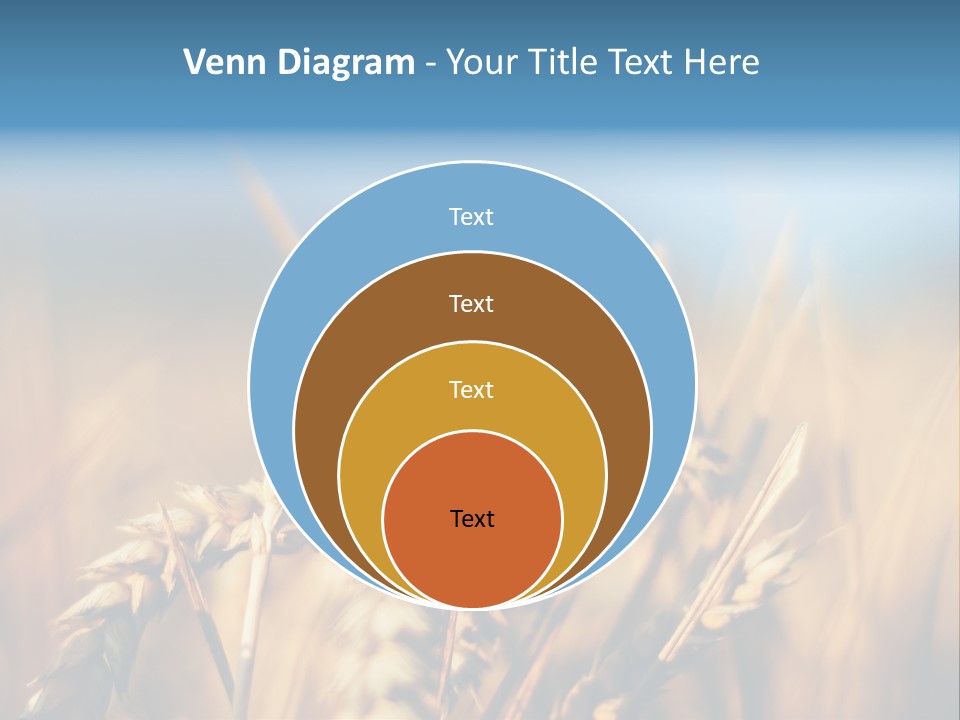 Wheat Closeup PowerPoint Template