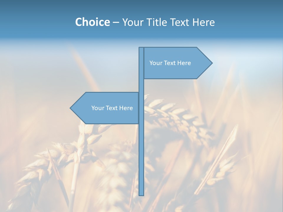 Wheat Closeup PowerPoint Template