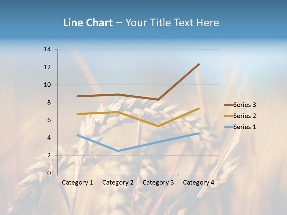 Wheat Closeup PowerPoint Template