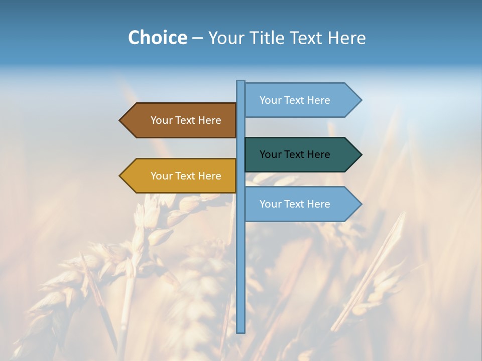 Wheat Closeup PowerPoint Template