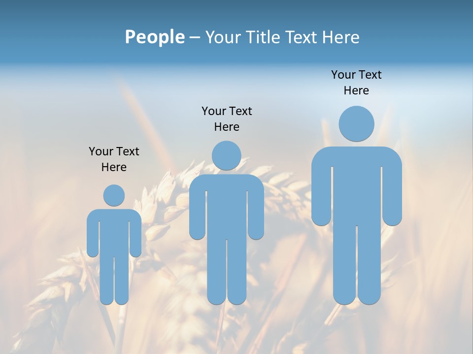 Wheat Closeup PowerPoint Template