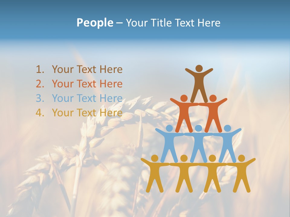 Wheat Closeup PowerPoint Template