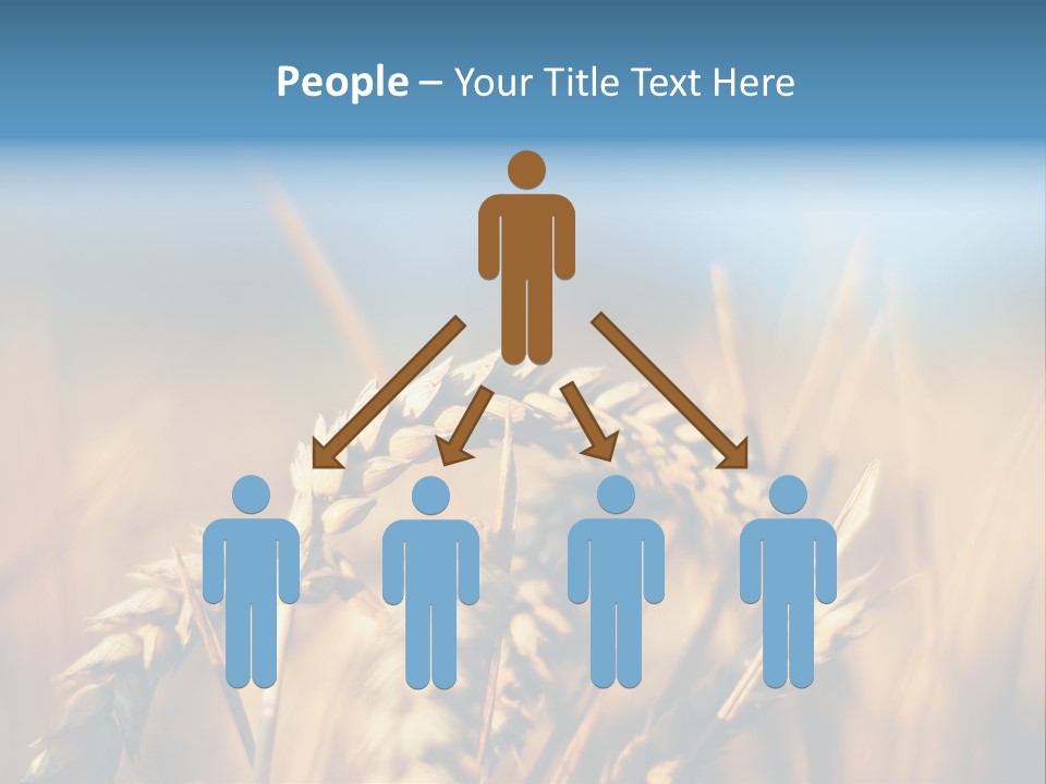 Wheat Closeup PowerPoint Template