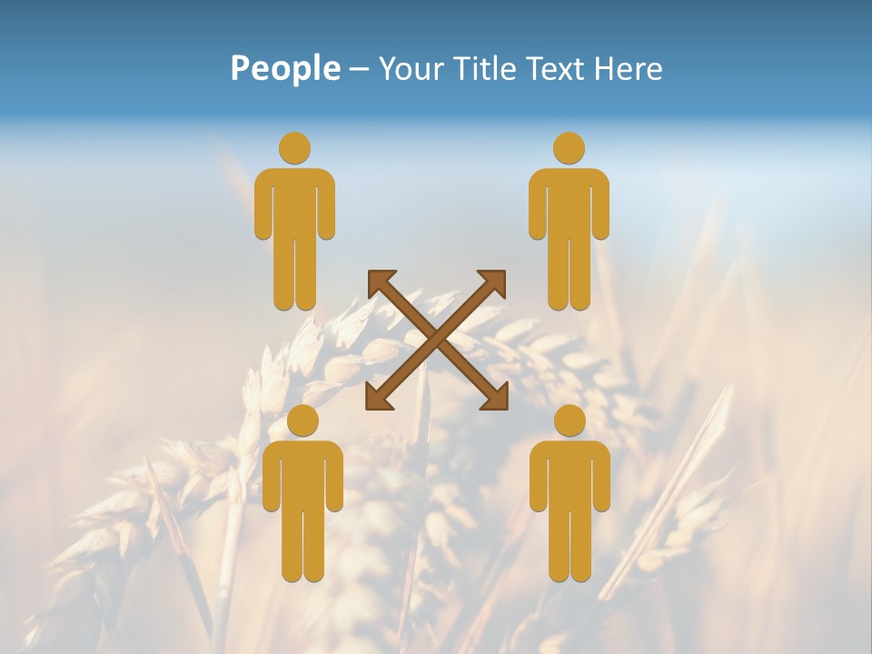 Wheat Closeup PowerPoint Template