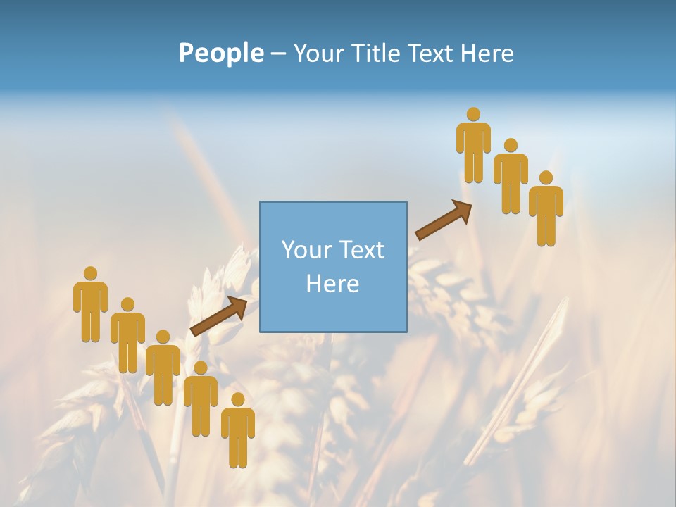 Wheat Closeup PowerPoint Template