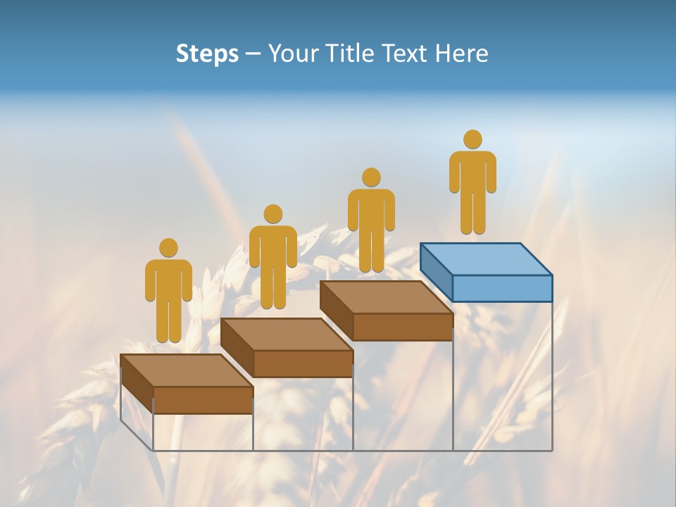 Wheat Closeup PowerPoint Template