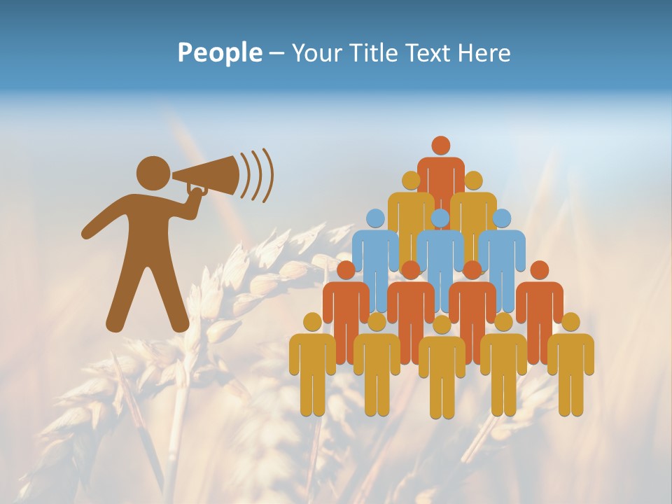 Wheat Closeup PowerPoint Template