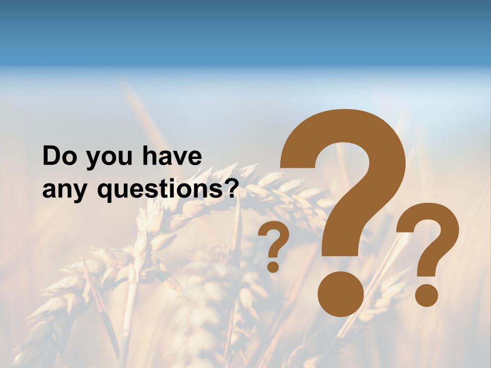 Wheat Closeup PowerPoint Template