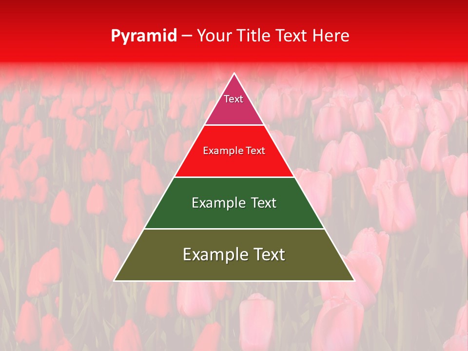 Fresh Orange Jumping Into Water With A Splash PowerPoint Template
