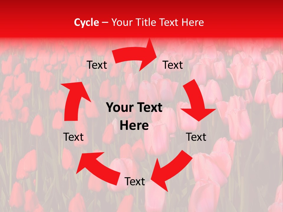 Fresh Orange Jumping Into Water With A Splash PowerPoint Template